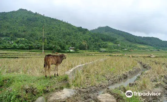 Tu Le Valley