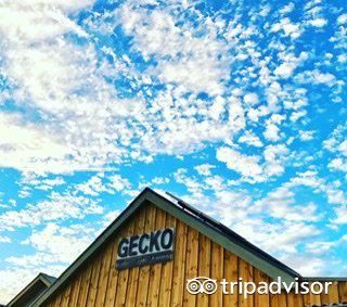 Gecko Studio Gallery