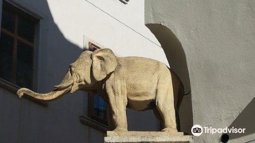 Der kleine Elefant