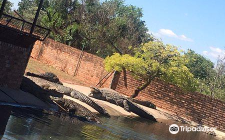 Thaba Kwena Crocodile Farm