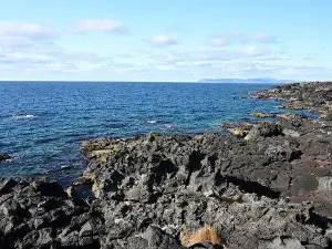 Kamui Kaigan Park (Kamui Beach Park)