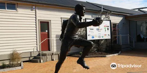 Sir Colin Meads Statue