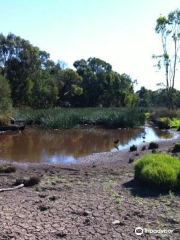 Traralgon Railway Reservoir Conservation Reserve