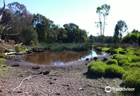 Traralgon Railway Reservoir Conservation Reserve