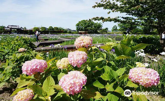 Yamato Chuo Park Hanashobuen