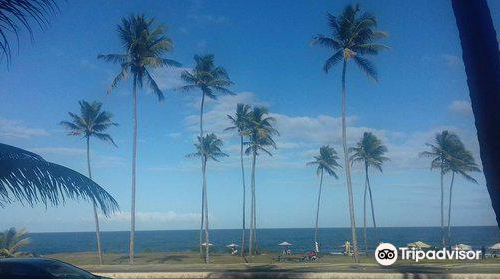 Jardim de Ala Beach