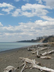 Port Bruce Provincial Park