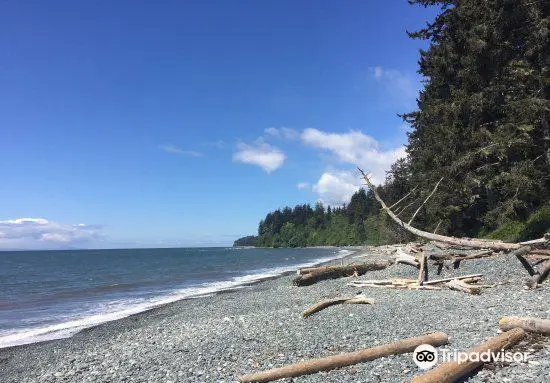 Sandcut Beach