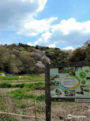 Kamakura Central Park