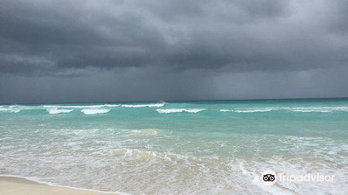 Wedge Island Point Beach