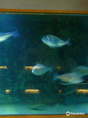 Nordsee Aquarium Borkum