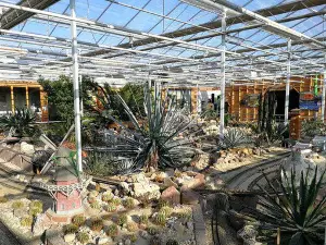 Experiencepark CactusOase