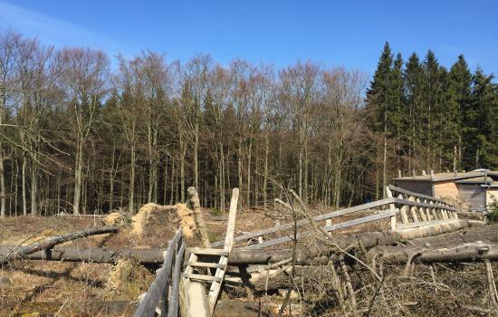 Wilder Kermeter natural adventure park