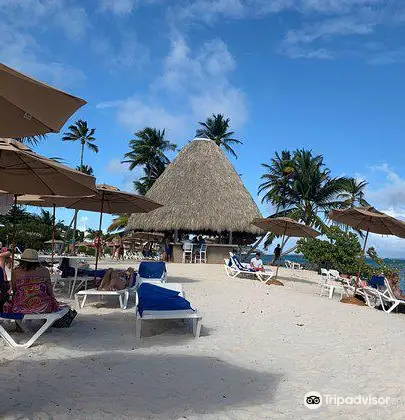 絶対に行くべきドミニカ共和国の観光スポット トリップドットコム