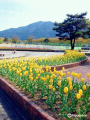 飛騨川公園