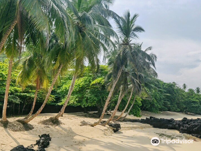 São Tomé und Príncipe Reiseführer für 2022 – São Tomé und Príncipe-Karte  der Sehenswürdigkeiten – unabhängiger Afrika-Reiseführer – Trip.com