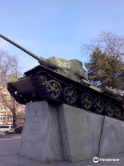 General Pushkin Memorial