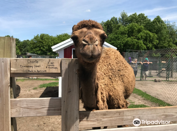 Dutch Creek Farm Animal Park