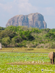 Nimsara Yala Safari
