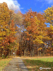 Felker's Falls Conservation Area