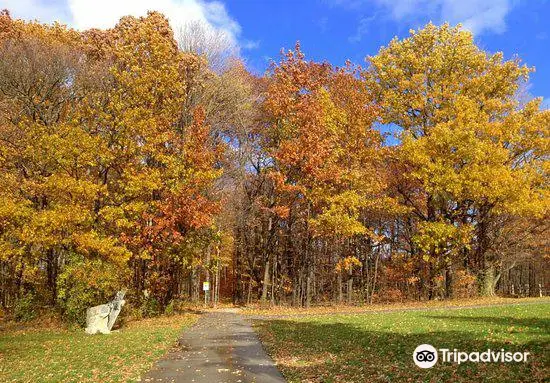 Felker's Falls Conservation Area