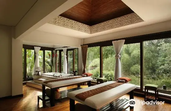 Spa at The Samaya Ubud