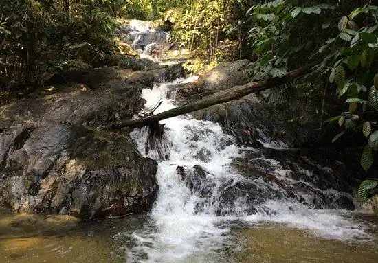 Hotels near Taman Rimba Templer