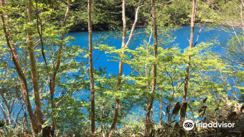 Onuma Pond