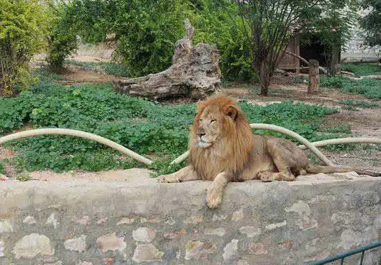 Hotels near The Zoological Gardens