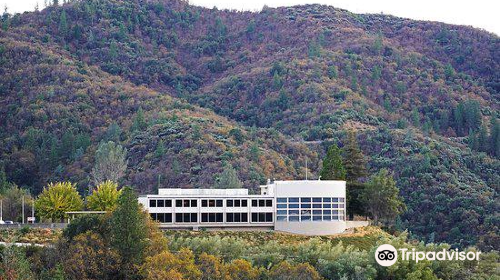 Shasta Dam