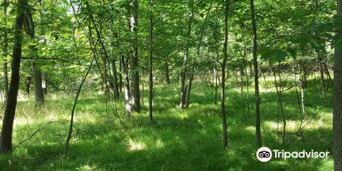 Buttermilk Falls Park