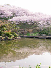 種鬆山公園西園地