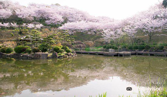 Tanematsuyama Park