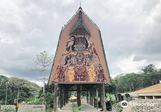 Latest travel itineraries for Papua New Guinea National Museum and Art