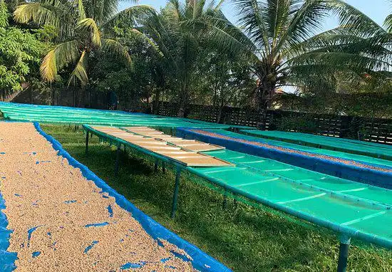 Hotels near Farm Link