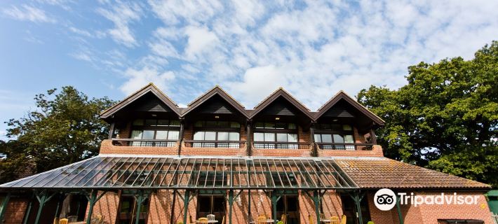 Barnham Broom Hotel, Golf & Spa Hotels in Norwich
