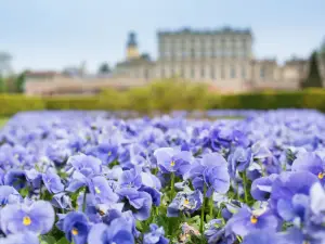 Cliveden House - an Iconic Luxury Hotel