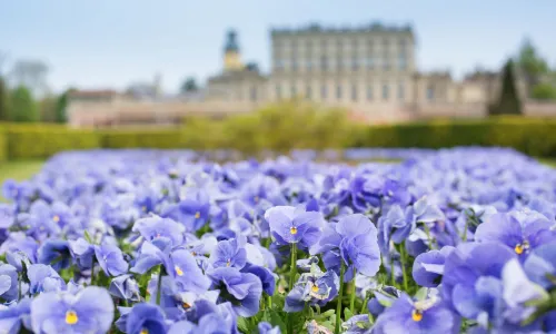 Cliveden House - an Iconic Luxury Hotel