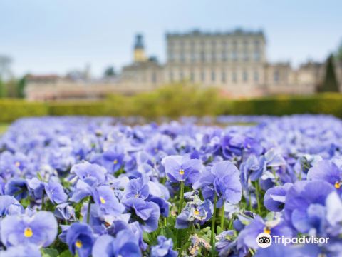 Cliveden House - an Iconic Luxury Hotel