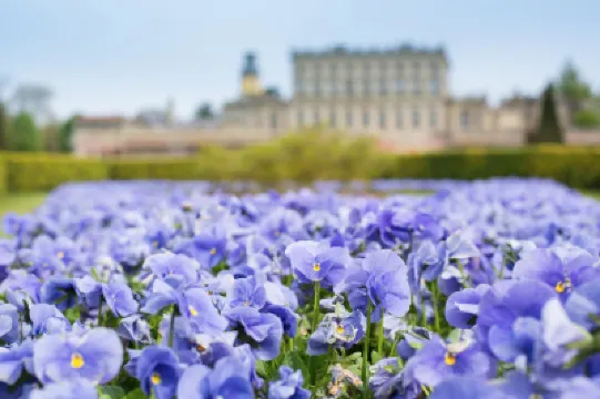 คลิฟเดน เฮาส์ โรงแรมใน