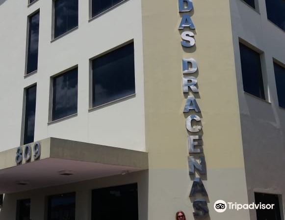 Hotel das Dracenas