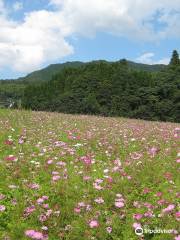 Higashisanbe Flower Valley