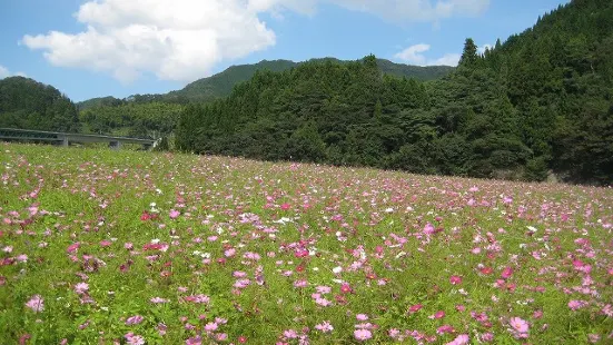 Higashisanbe Flower Valley