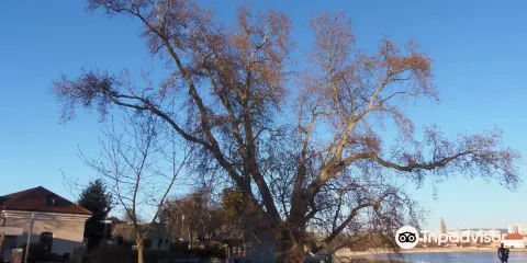 Kuny Domokos Museum at the Tata Castle