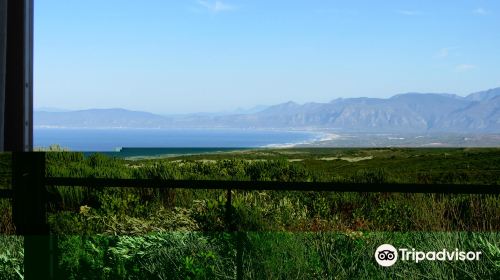 Grootbos Nature Reserve