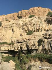 Jardín Botánico Ein Gedi