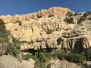 Jardín Botánico Ein Gedi