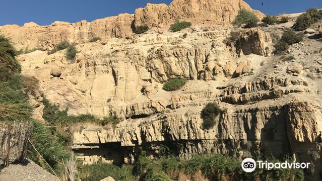 Ein Gedi Botanical Garden