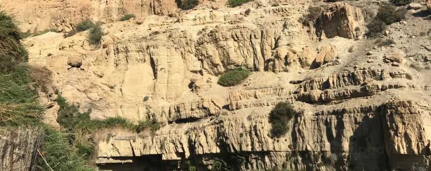 Ein Gedi Botanical Garden