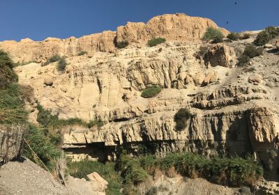 ‘En Gedi